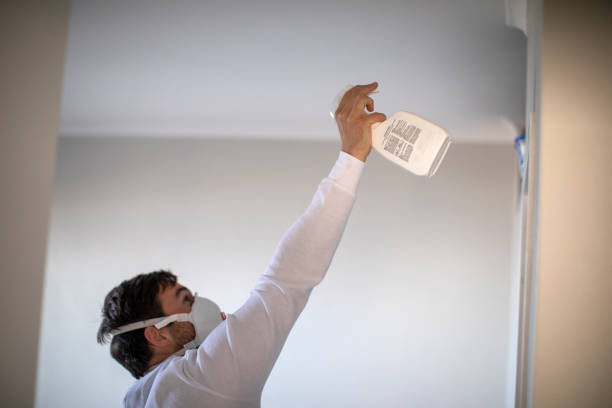 Best Mold Removal Company Near Me  in Muldraugh, KY